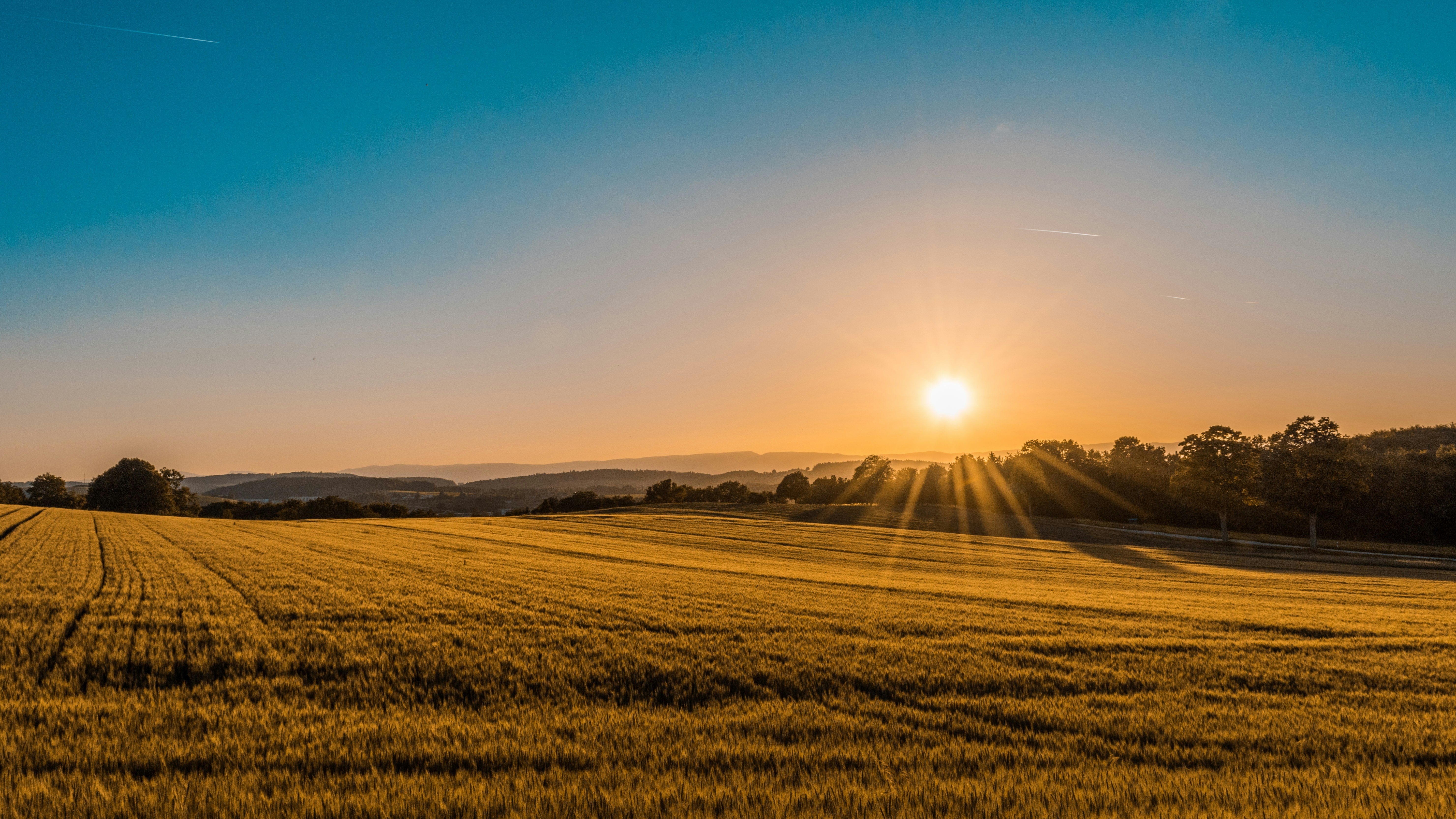 Country field sunset